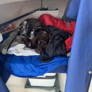 Media 'Gus?s favorite spot when under power' in album 'New to me 2009 Angler 19'