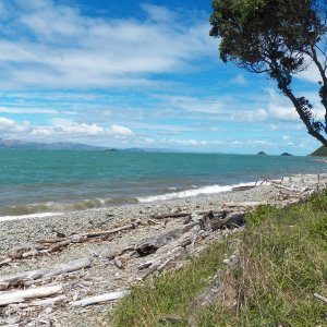 Tropical cyclone Gita came through two days earlier, bringing lots of new stuff for beachcombers.
