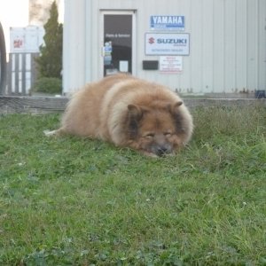 Teddy Glad to be back on dry land after 8 hrs on the Ocean
