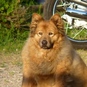 She was gentle sweet and so loving and loyal