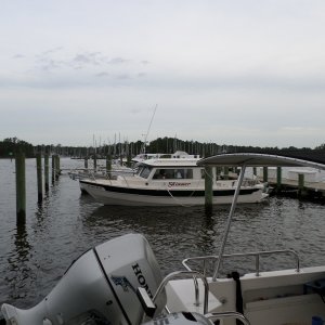 SAM 0137
