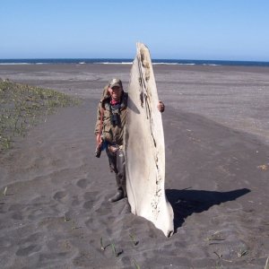 Whale Jaw