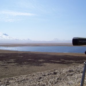 Unimak AK bear hunt 2009 054