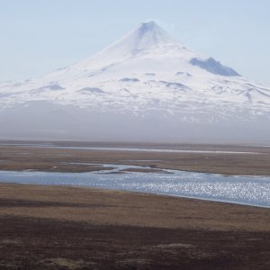 Unimak AK bear hunt 2009 052