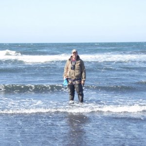 Media 'Bering Sea Between Cold Bay and Dutch Harbor' in album 'Sow and two cubs 300 yrds'