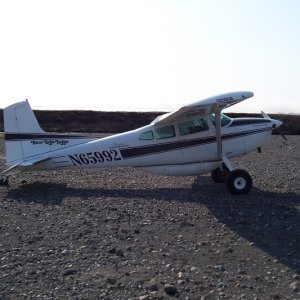 Media 'Our ride' in album 'Sow and two cubs 300 yrds'