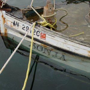 Sinkin Sonja Sunk