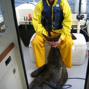 Who cares if it's raining?  This beats the office any day!  (Homer halibut)