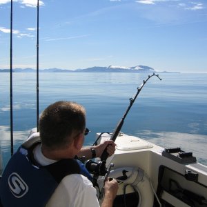 Media 'Could it possibly get any better than this?' in album '(Sea Duck) Sea Duck in Port Valdez'