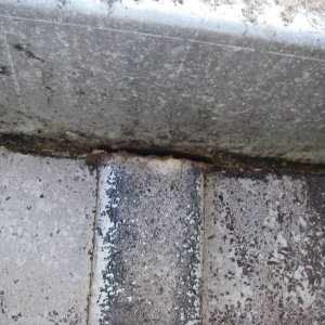 Media 'Algae and Crud' in album 'Tank Installation'
