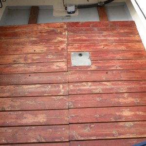 Media 'removable cedar floor' in album 'Salty at her new home on the Canadian Prairies'