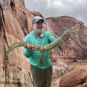 Media 'Lake Powell' in album 'toast'