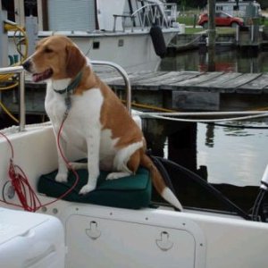 Sam considering jumping ship
