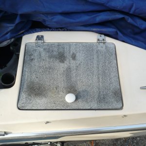 Standard 87 oem? laz covers (Starboard?)