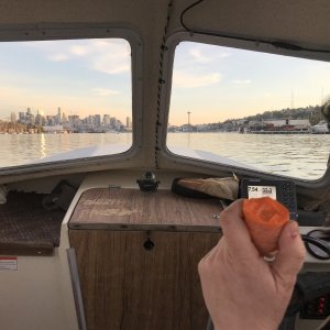 Monday night shake down run in Lake Union - 2020