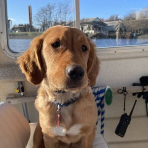 Walt\'s first boat ride