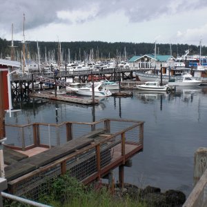 Friday Harbor.