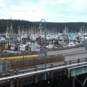 Friday Harbor.
