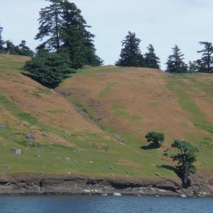 Spieden Island, San Juans.
