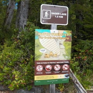 A hike to Sager Lake.