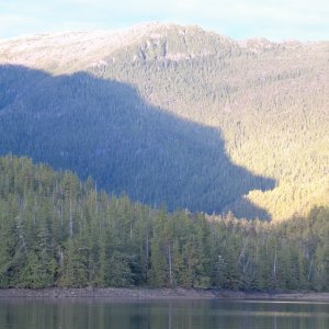 And we saw the bear of Laredo Inlet.
