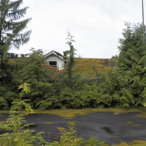 The tennis court at Ocean Falls.