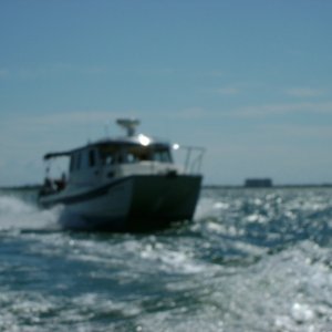 Captains Cat going so fast he is blurry