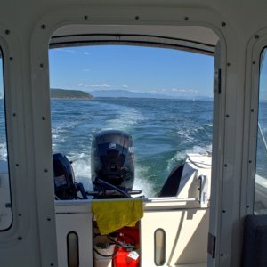 Media 'Enjoying the day, taking it slow' in album 'Heading back out on a Saturday in late July after a morning of crabbing with a buddy.'