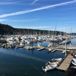 Quick walk up the dock to check out other options