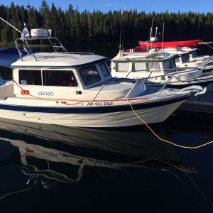 Media 'Yellowstone lake 2014' in album 'Yellowstone lake 2014'