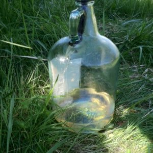 Media '4 Liter ReceivingJ J4 Liter Receiving Jug' in album 'Pump'