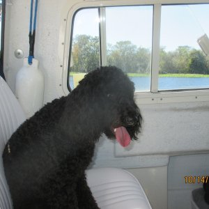 Media 'Lexie aboard the Pegstan' in album 'Fishing platform up front'