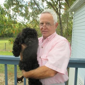 ALD puppy Nov 9th