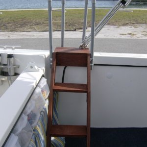 Easy access steps