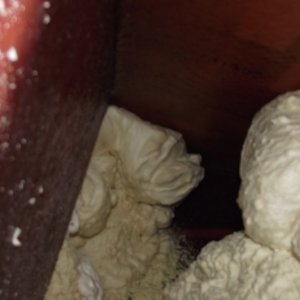 This photo shows the amount of foam that was in the bow.