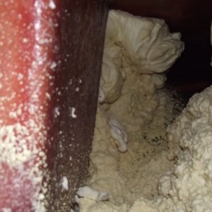 This photo also shows the amount of foam that was in the bow.