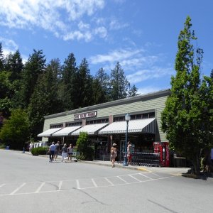 And at last the grocery store!