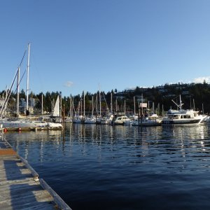 The quiet Schooner Cove marina.  Glad I passed on the busier and noiser Silva Bay and Nanaimo and stayed here!