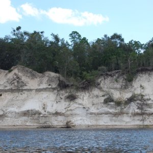 Media 'Sand Cliffs along St Marys River' in album 'Sand Cliffs along St Marys River'