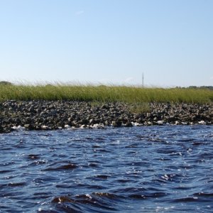 Ballast rocks from old sailing ships of the 1700\'s at mouth of St Marys River