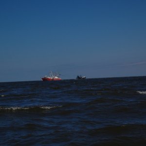 Media 'Shrimp Boats in St Andrews sound Jekyl Island to their North' in album 'Sand Cliffs along St Marys River'
