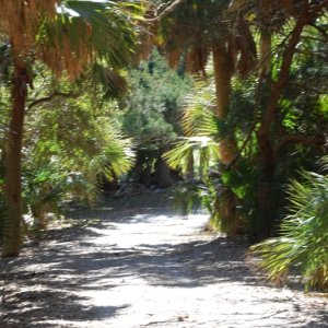 Pathway