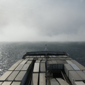 Entering the Fog (Kennedy Entrance)