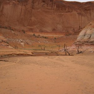 IMG 0172