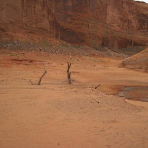 IMG 0174
