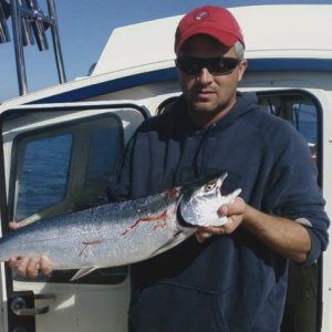 Tide Point Coho