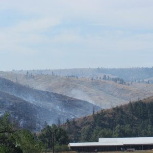 Media 'if you look closely at theleft hand side of the picture you can see the helicopter dumping water on the fire' in album 'IMG 1198'