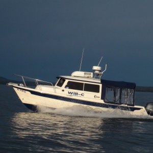 Media 'Yellowstone Lake 2011' in album 'IMG 1198'