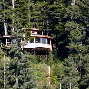 Media 'Cottage in the trees at Shrine of Saint Therese' in album 'Gull and Bird Islands departing Amalga Harbor'