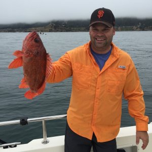 Media 'Vermillian' in album 'First fish'